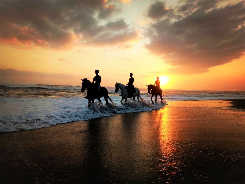 Langudu: Horse Riding on the Beach and in the Rice Fields - Experience Highlights