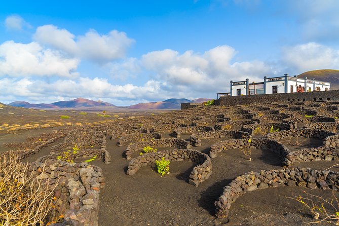 Lanzarote Volcano and Wine Region Tour From Fuerteventura - Cancellation Policy