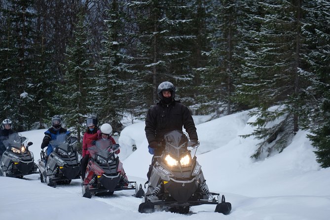 Lapland Lyngen Alps Snowmobile Safari From Tromso - Itinerary and Experience