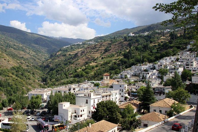 Las Alpujarras Full-Day Tour With Optional Lunch From Granada - Customer Reviews and Trip Experiences