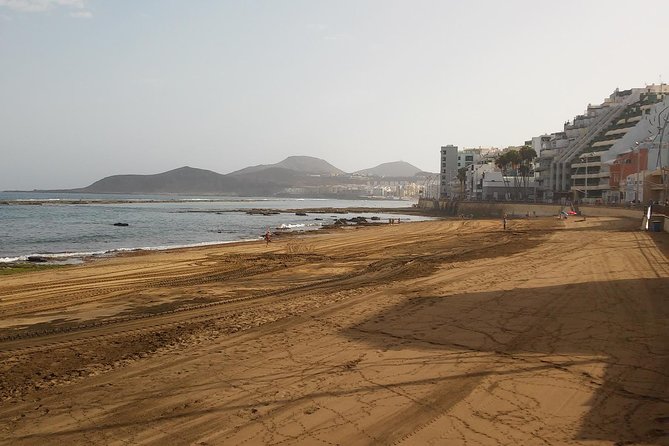 Las Canteras Beach Snorkeling and Species Identification Tour - Inclusions and Services