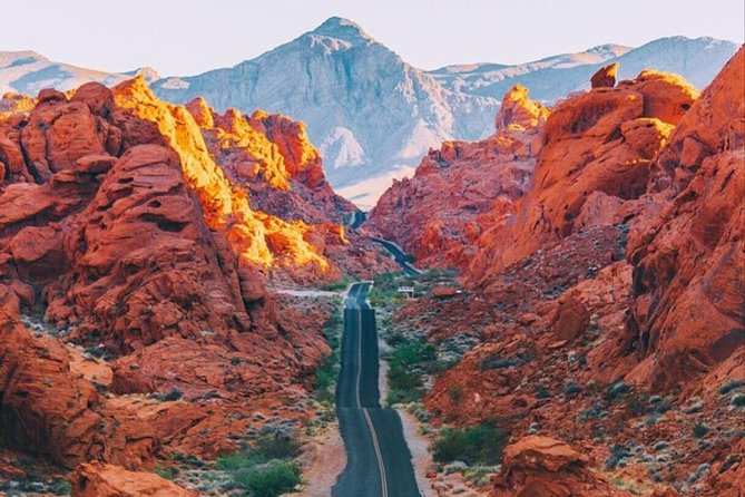 Las Vegas: Day Trip to Valley of Fire State Park (Mar ) - Booking Process and Policy Details