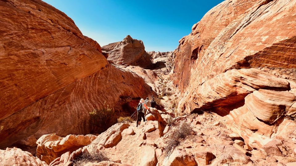 Las Vegas: Valley of Fire Scenic Tour - Experience Highlights