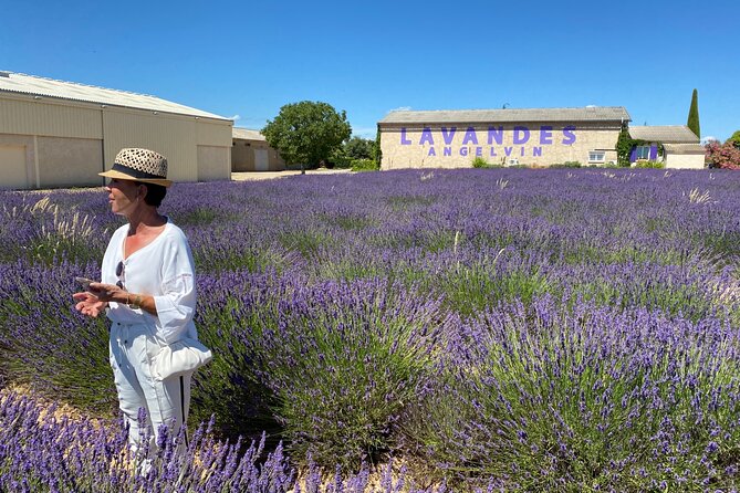 Lavender Discovery Private Tour in Provence - Valensole Plateau Exploration