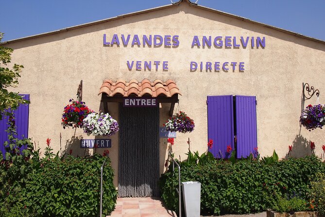 Lavender Fields Tour in Valensole From Marseille - Small-Group Tours From Marseille
