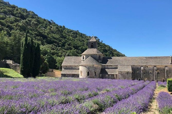 Lavender Fields Visit With Private Transportation  - Marseille - Lavender Museum Option