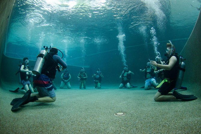 Learn To Scuba Dive: 4 Day Great Barrier Reef PADI Open Water Course Day Trips - Essential Equipment & Materials