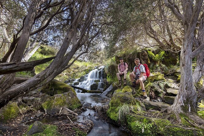 LGBTQ Friendly 2 Day Private Great Ocean Road Tour - Inclusions and Exclusions