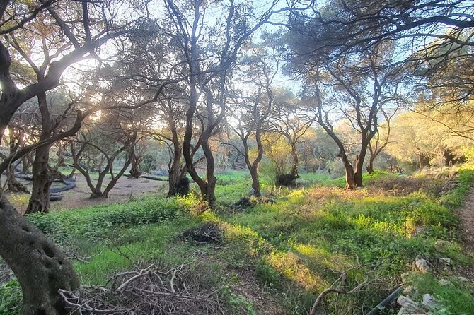 Liapades Private Guided Beaches and Olive Grove Hike (Mar ) - Inclusions and Amenities