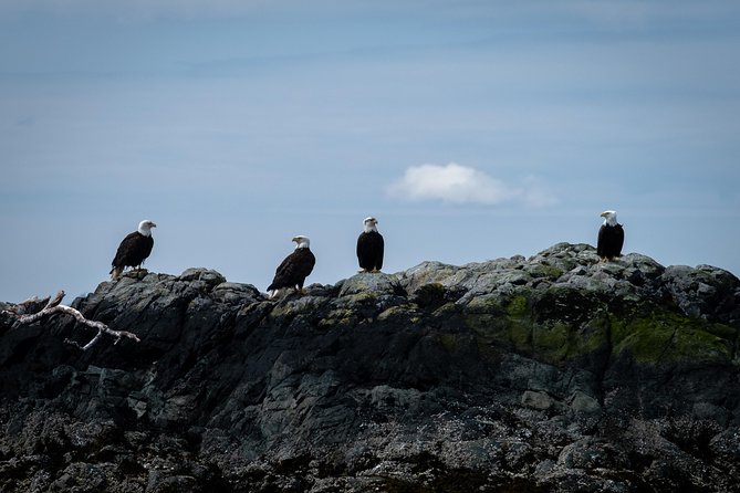 Lighthouse, Totems & Eagles Excursion - Booking Information