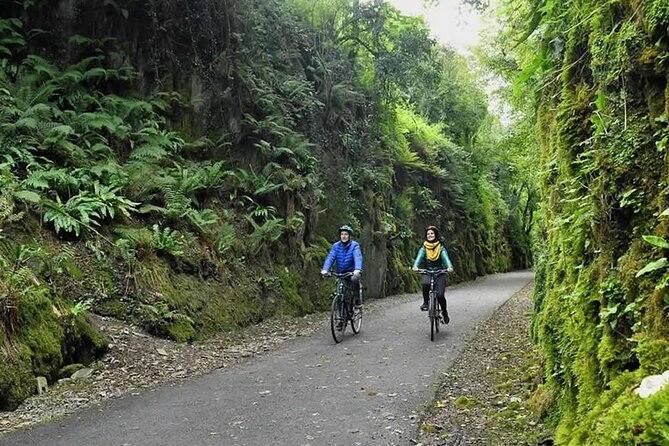 Limerick Greenway Bicycle Hire - Choosing the Right Bicycle