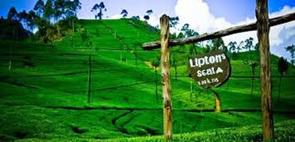 Lipton's Seat and Tea Factory & Tea Plantation Day Tour - Cancellation Policy