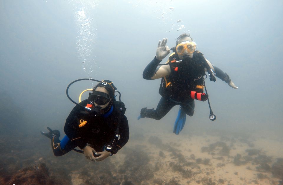 Lisbon: Become a Scuba Diver in 3-Days - Experience Highlights
