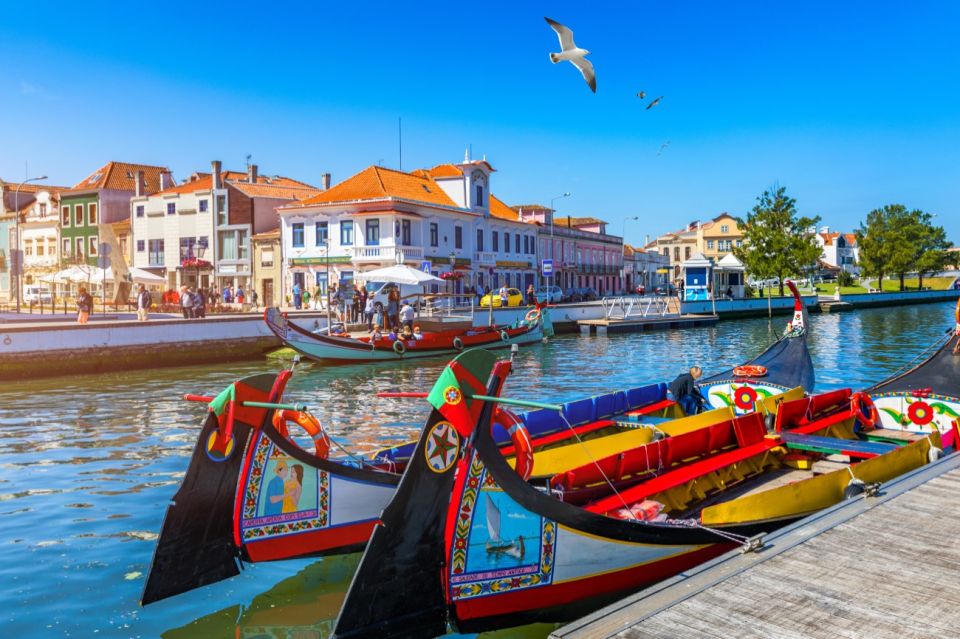 Lisbon: Private Transfer to Porto With Aveiro & Fatima Tour - Experience Highlights