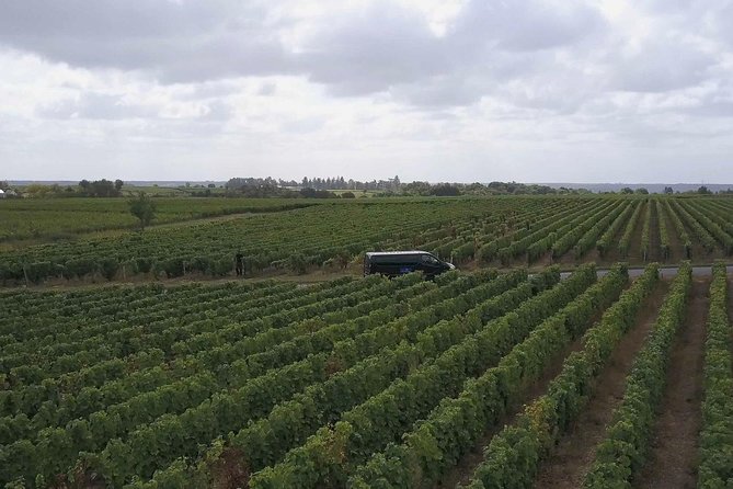 Loire Valley Half Day Wine Tour From Tours : Vouvray Wine Tasting - Underground Cave Visit