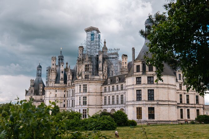 Loire Valley Tour Chambord and Chenonceau From Tours or Amboise - Tour Highlights