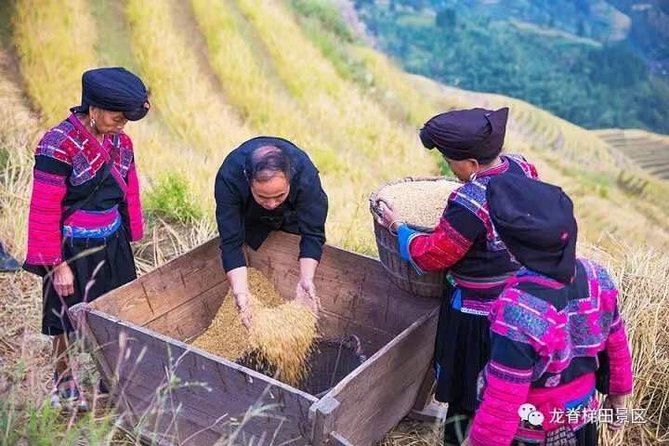 Longji Rice Terraces & Minority Villages Private Day Tour - Customer Reviews