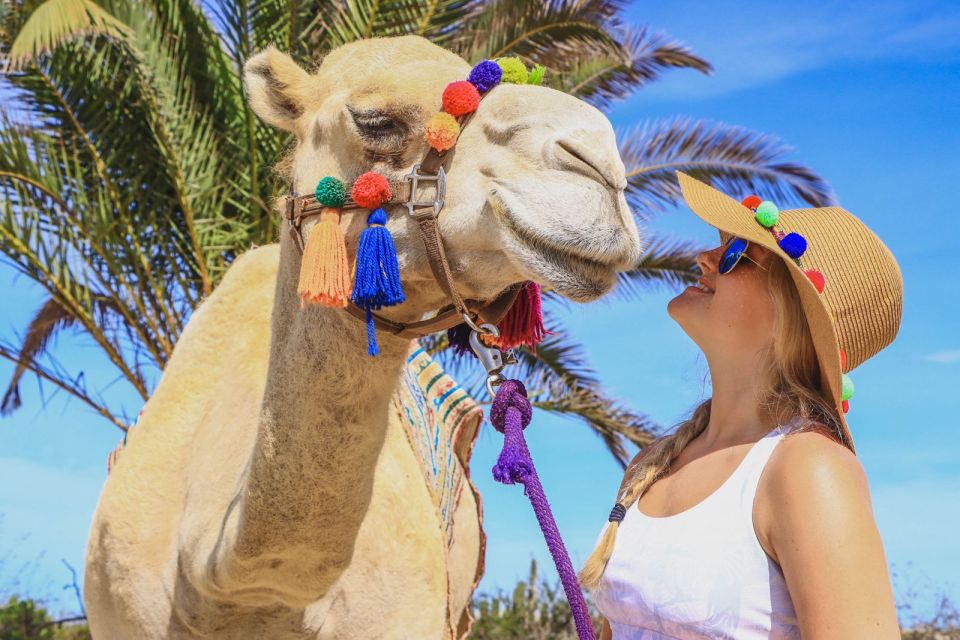 Los Cabos: Arch Tour by Speedboat and Camel Ride on Beach - Experience Highlights
