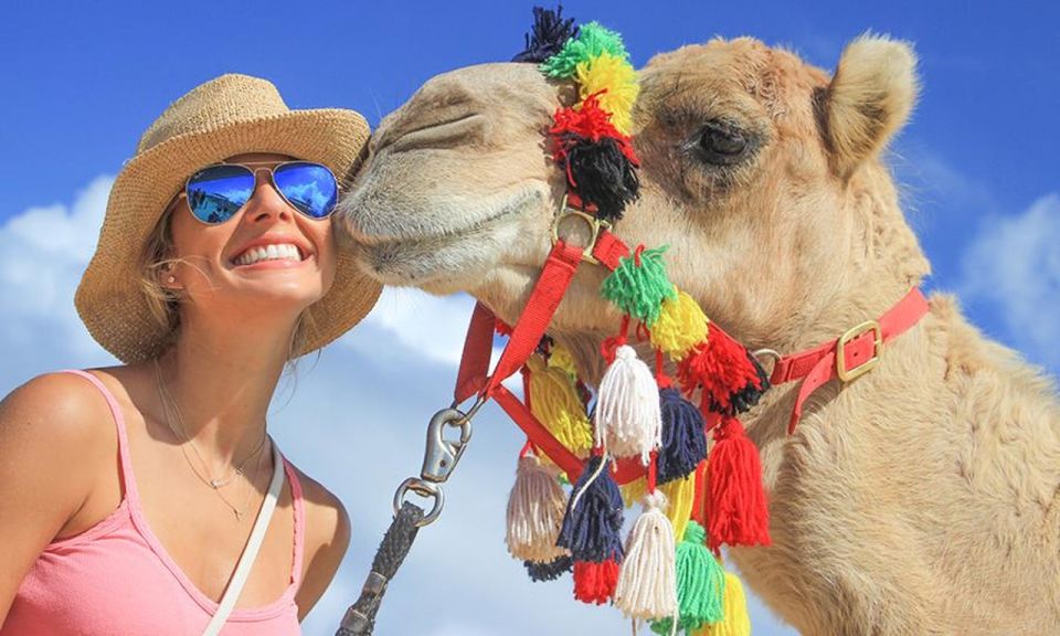 Los Cabos: Desert & Sea Camel Safari Tour With Lunch - Cancellation Policy and Payment Flexibility