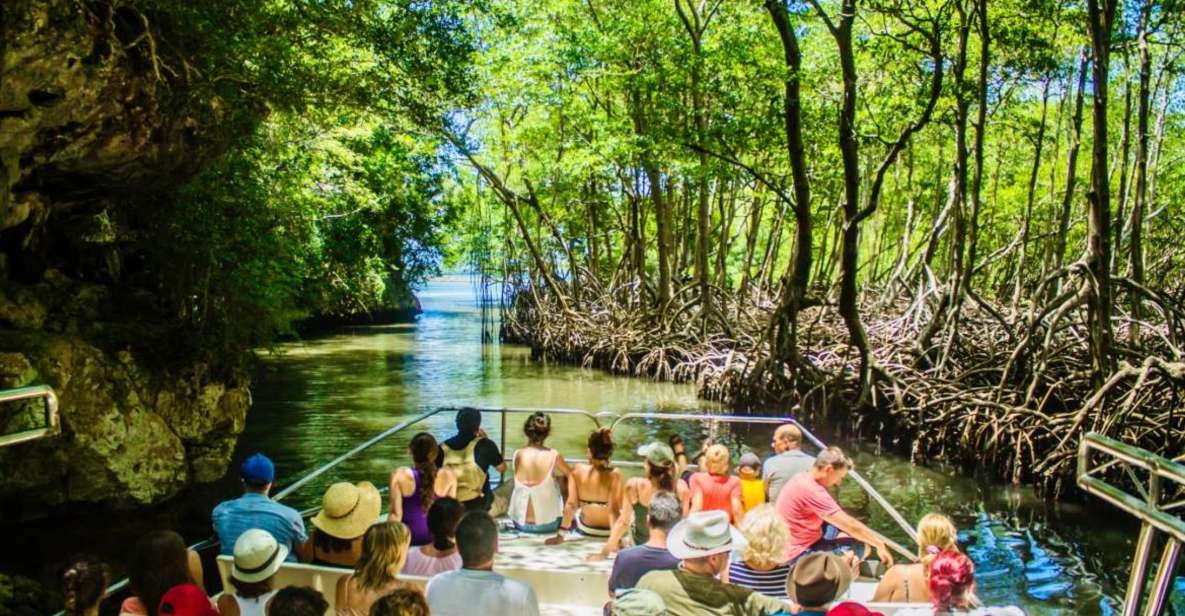 Los Haitises Boat Tour & Natural Pools Spa Cano Hondo - Booking Information