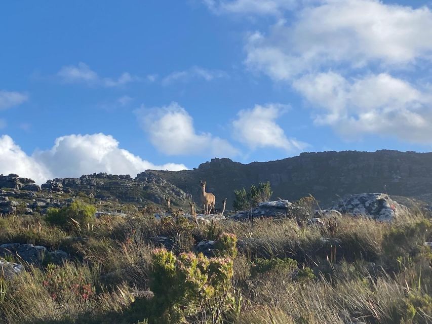 Lose the Crowds: Kasteelspoort & the "Diving Board" - Booking and Inclusions