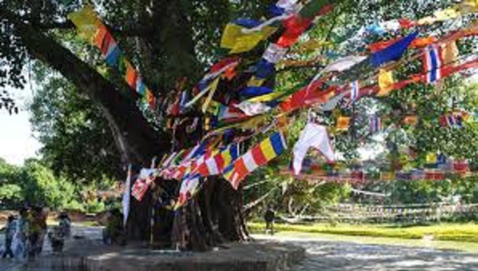 Lumbini Full Day Tour With Guide - Experience in Lumbini