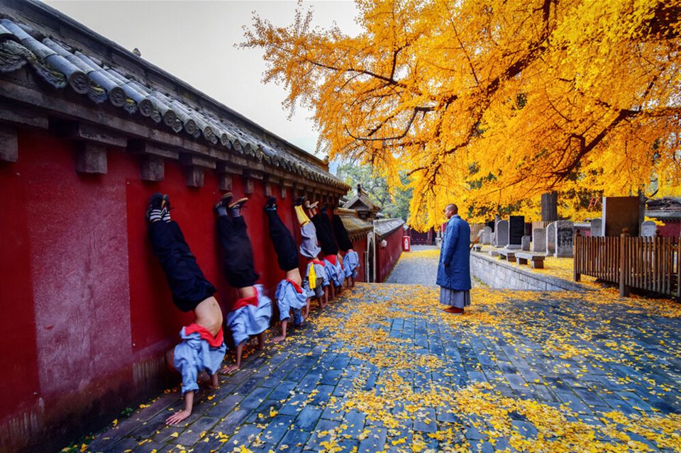 Luoyang Private Day Tour Longmen Grottoes Shaolin Temple - Experience Highlights