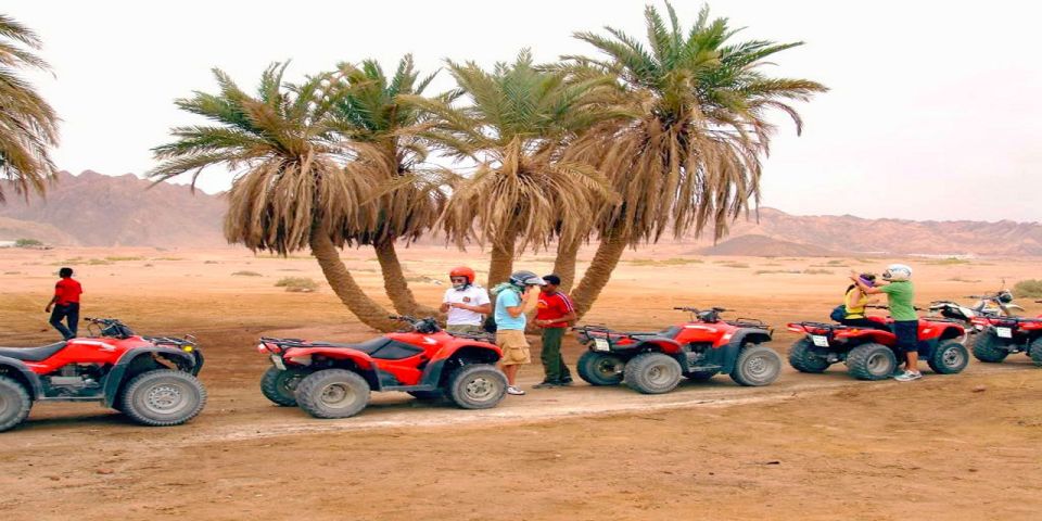 Luxor: Balloon, Quad Bike, Horse Ride, Felucca With Meals - Quad Bike Adventure in Luxor