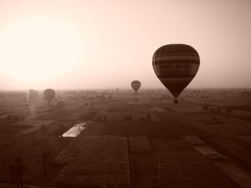 Luxor: East/West Bank Highlights & Balloon Ride, Guided Tour - Tour Highlights