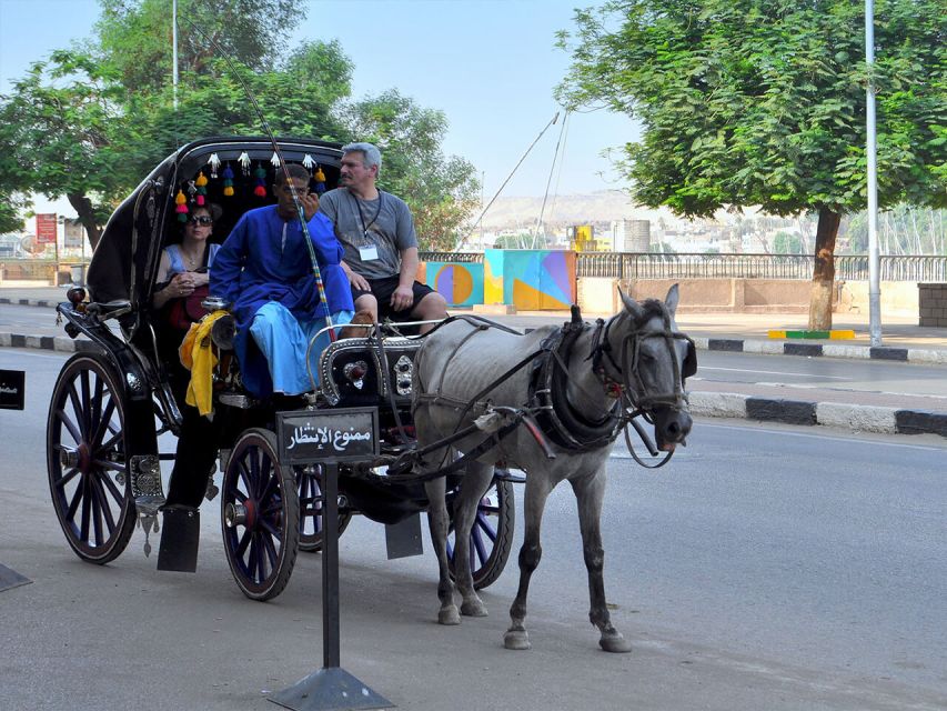 Luxor : Luxor City Tour By Horse Carriage - Booking Details