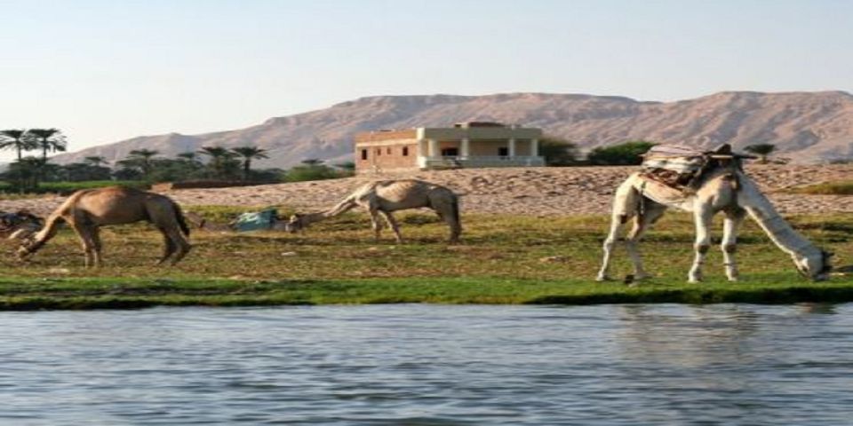 Luxor: Scenic Camel or Horse Ride - Location Details