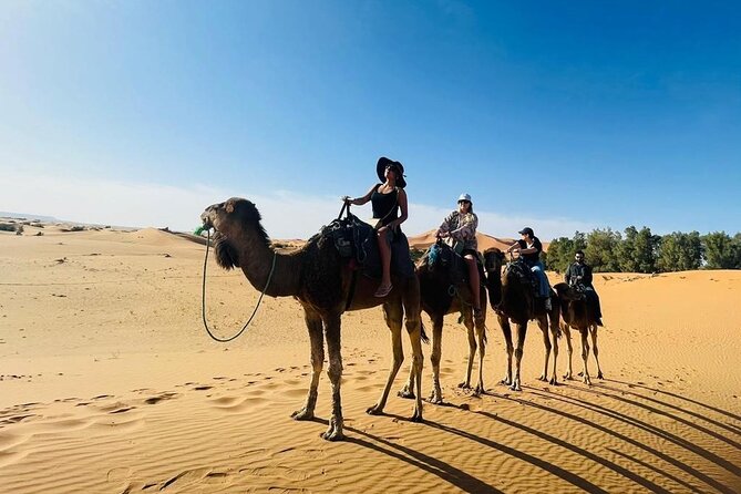 Luxury 3 Days 2 Nights Desert Tour From Fez to Marrakesh - Inclusions and Booking Details