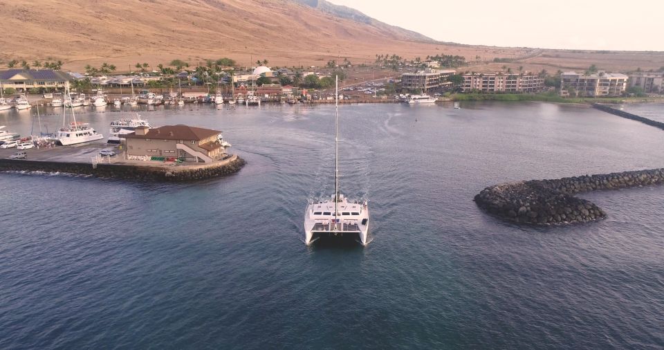 Luxury Alii Nui Royal Sunset Dinner Sail in Maui - Experience Highlights