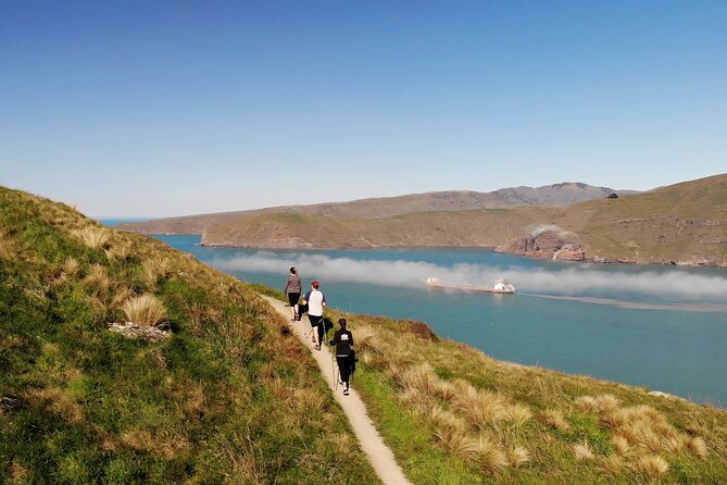 Luxury Private Guided Crater Rim Walk on Banks Peninsula - Review Details