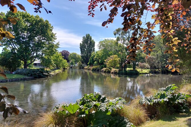 Lyttelton Shore Excursion: Christchurch Sightseeing With Antarctic Center - Reviews and Highlights