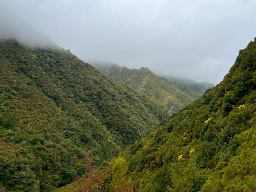 Madeira: 25 Fontes and Risco Levada Hike With Transfers - Activity Details