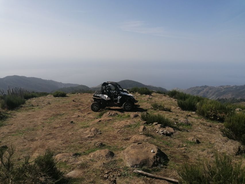 Madeira: Half-Day Off-Road Buggy Tour - Pickup and Group Size Details