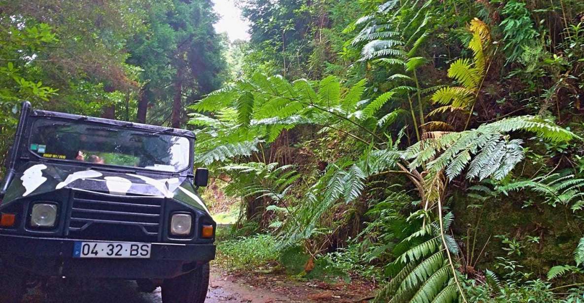 Madeira: Jeep Safari Tour - Tour Experience