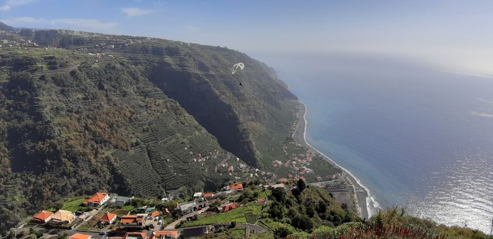 Madeira: South Island Private Tour - Experience Highlights