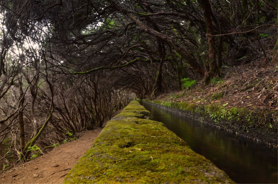 Madeira Walks - Rabaçal and the 25 Fountains - Experience Highlights