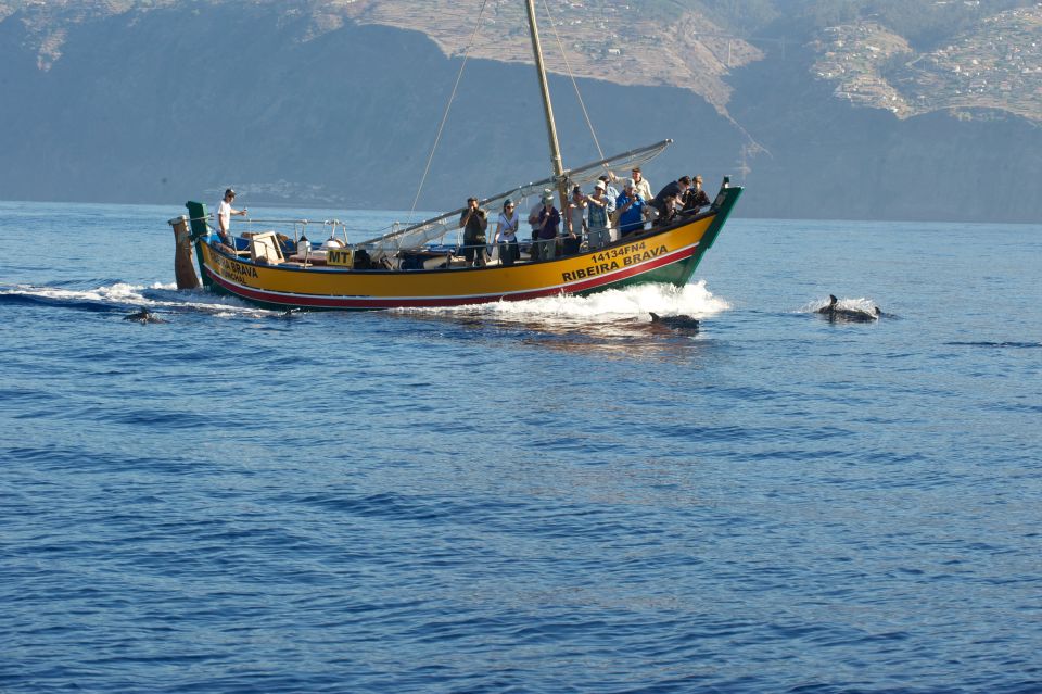 Madeira: Whale Watching Excursion in a Traditional Vessel - Experience Details