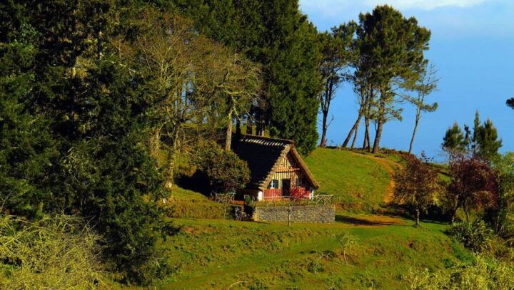 Madeira: Wildfires, Green Cauldron, and Levada Walk - Experience Highlights