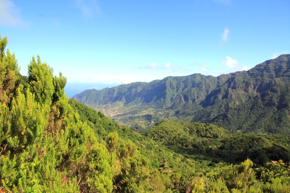 Madeira: Wine Safari Jeep Tour With Local Guide - Pickup Details