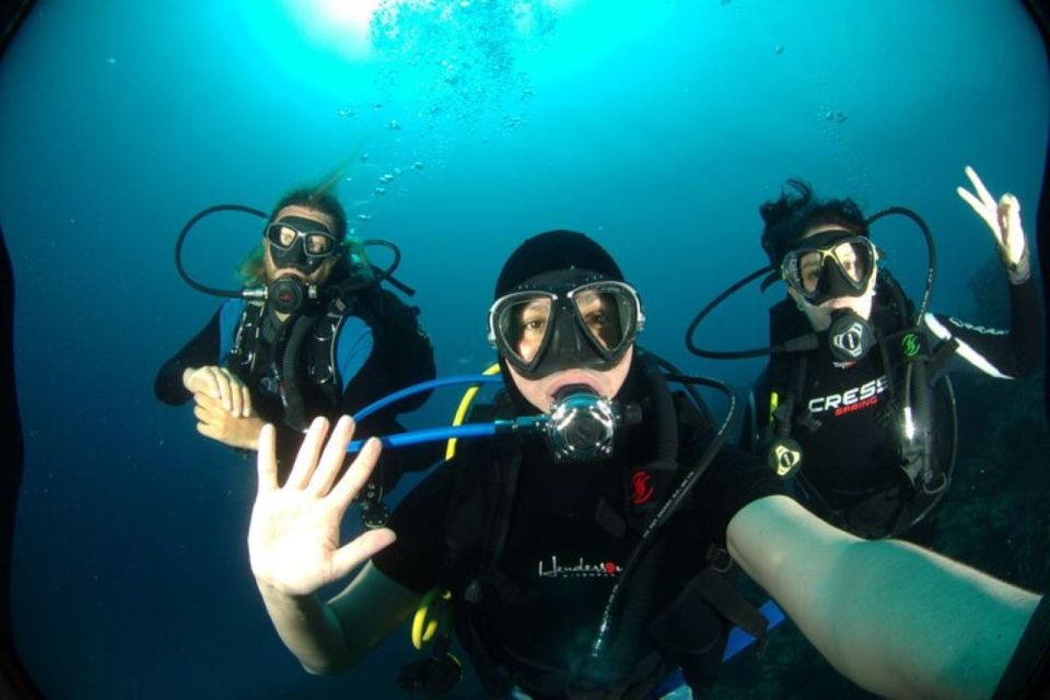 Mahahual: Marine Ecology Diving Experience - Experience Highlights