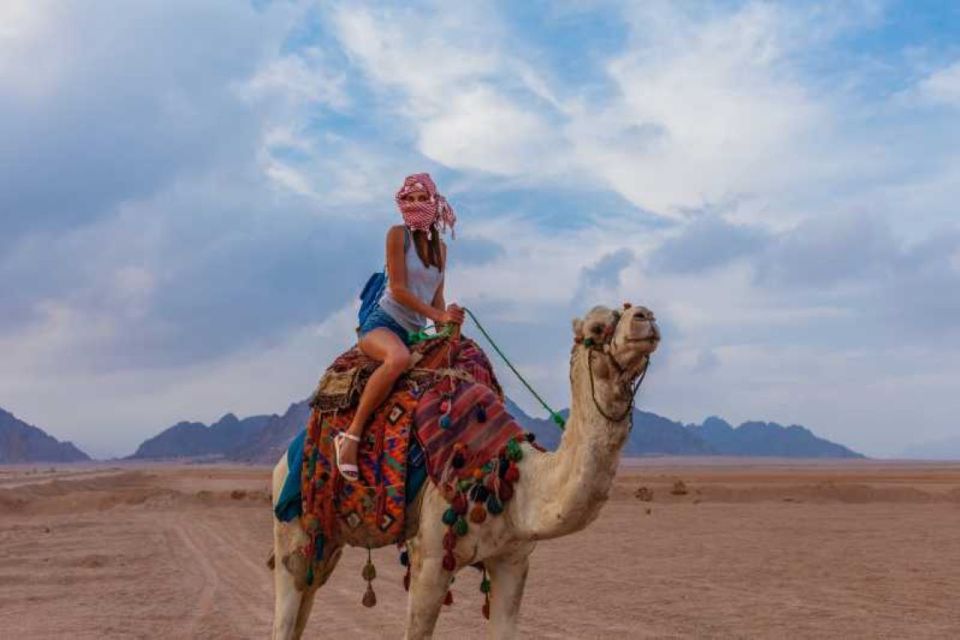 Makadi Bay: ATV Quad Safari, Bedouin Village & Camel Ride - Review Summary