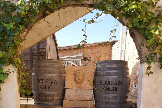 Mallorca Bodega & Olive Tour With Wine Tasting (Full Day) - Itinerary Highlights