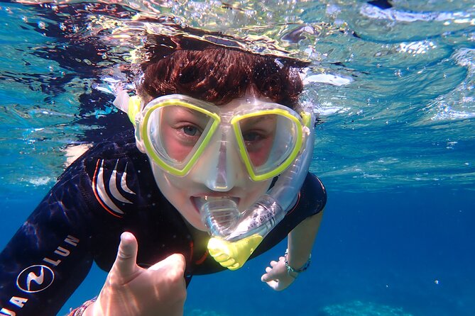 Mallorca: Snorkeling in a Beautiful Nature Reserve - Viator Booking Information