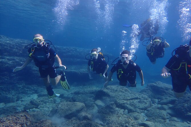 Mallorca: Try Scuba Diving in a Beautiful Nature Reserve - Traveler Experience Insights