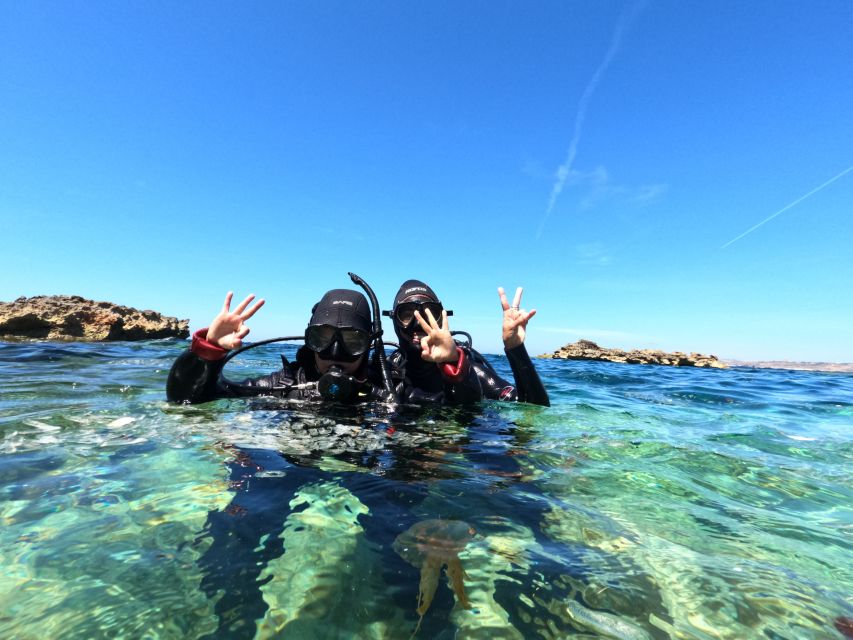 Malta: St. Paul's Bay 1 Day Scuba Diving Course - Experience Highlights