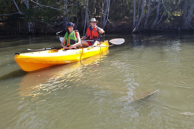 Manatee and Dolphin Kayaking Haulover Canal (Titusville) - What To Expect
